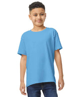 GD05B Carolina Blue Model